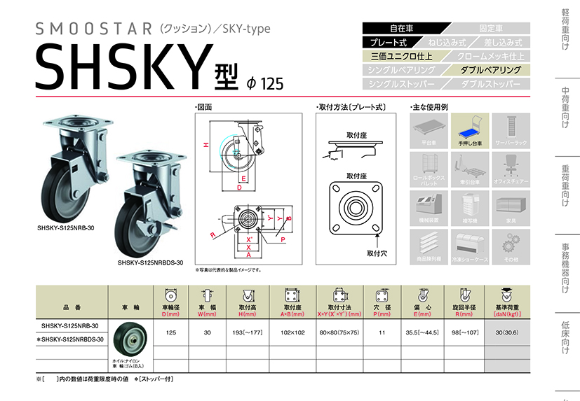 209SHSKY.jpg