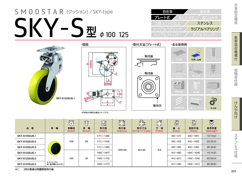 209SKY-S.jpg